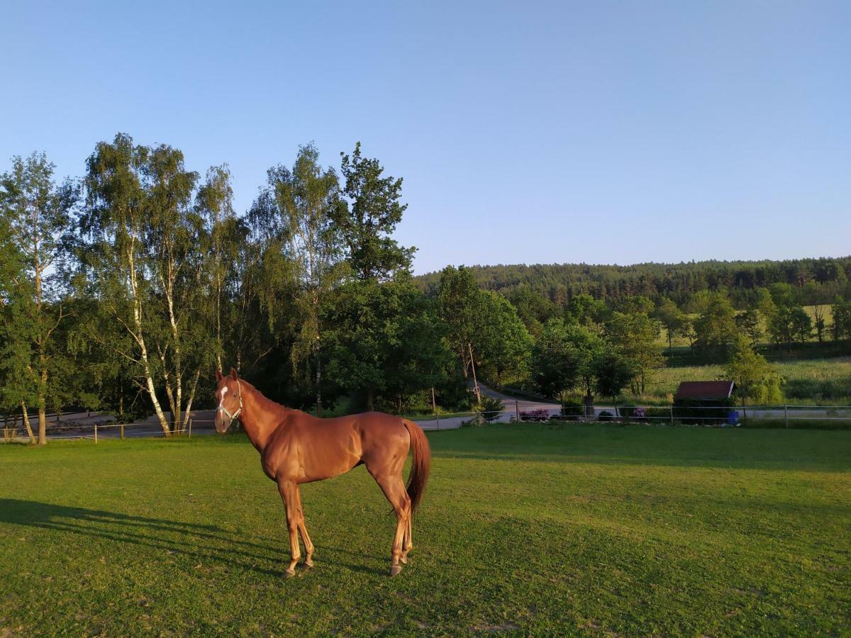 Hotel Statek Cesky Dvur Postupice Esterno foto